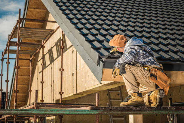 Best Roof Installation  in Arlington, MN